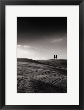 Framed Late Afternoon Sunset on Twin Cypresses Print
