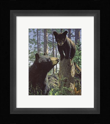 Framed Stump Jumper Print