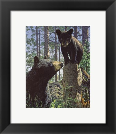 Framed Stump Jumper Print