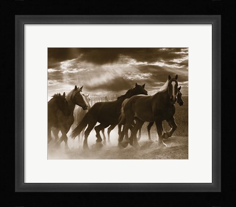 Framed Running Horses &amp; Sunbeams Print