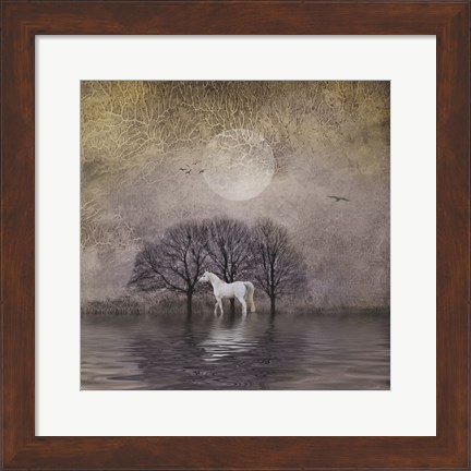 Framed White Horse in Pond Print