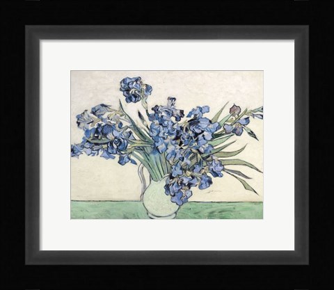 Framed Irises Print