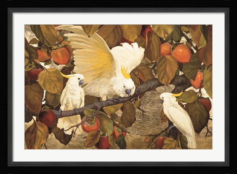 Framed Persimmons &amp; Cockatoos Print