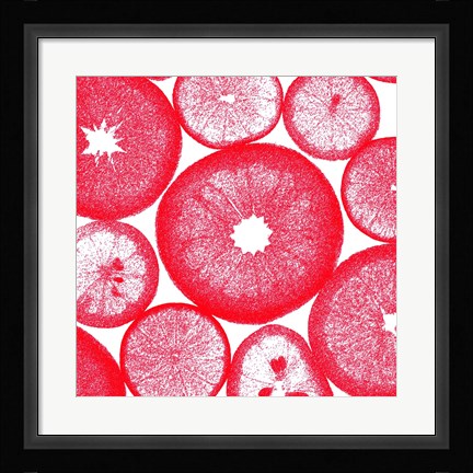 Framed Red Lemon Slices Print