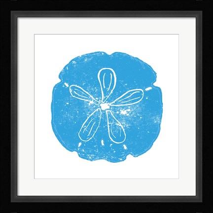 Framed Blue Sand Dollar Print