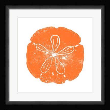 Framed Orange Sand Dollar Print