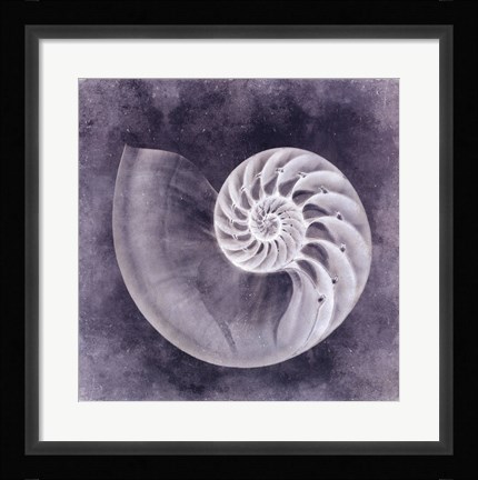 Framed Ocean Blue IV Print