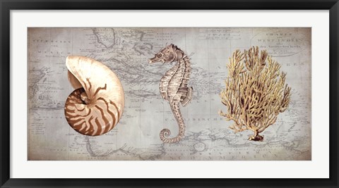 Framed Sea Treasures I Print