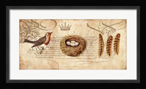 Framed Nesting II Print