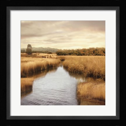 Framed Morning Calm I Print