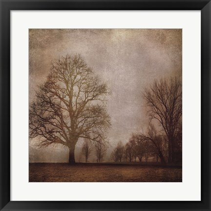 Framed Morning Meditation I Print