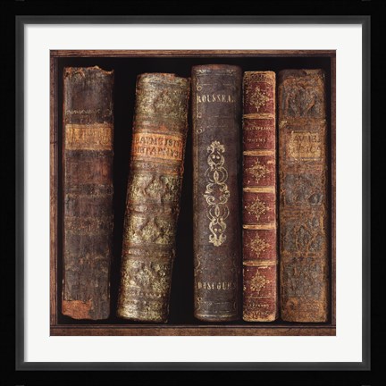 Framed In The Library II Print