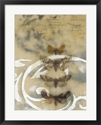 Framed Nocturnes I Print