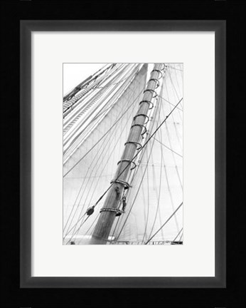 Framed Set Sail VI Print