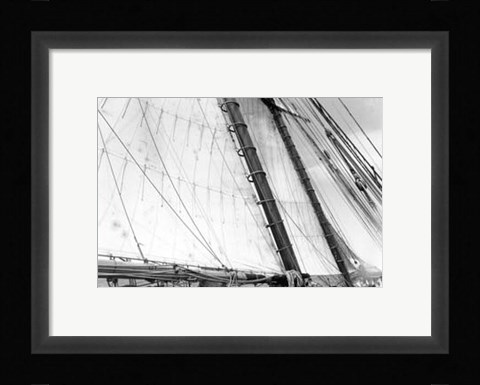 Framed Under Sail III Print