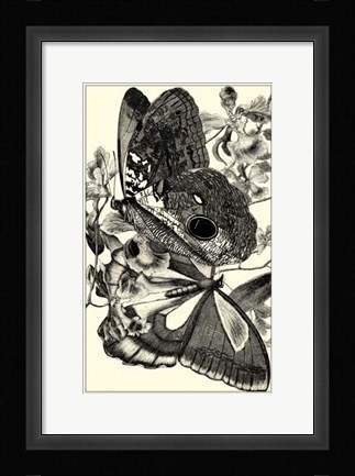 Framed B&amp;W Butterfly IV Print