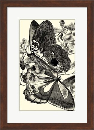 Framed B&amp;W Butterfly IV Print