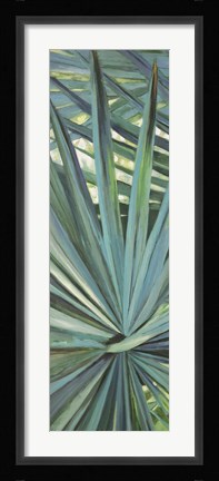 Framed Fan Palm I Print