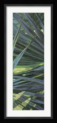 Framed Fan Palm II Print