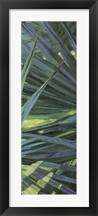 Framed Fan Palm II Print