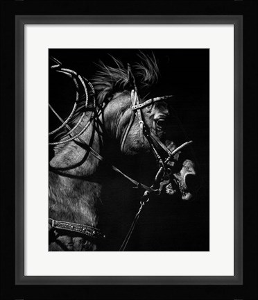 Framed In Pursuit Print