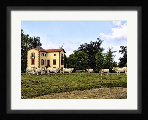 Framed Cow Palace Print