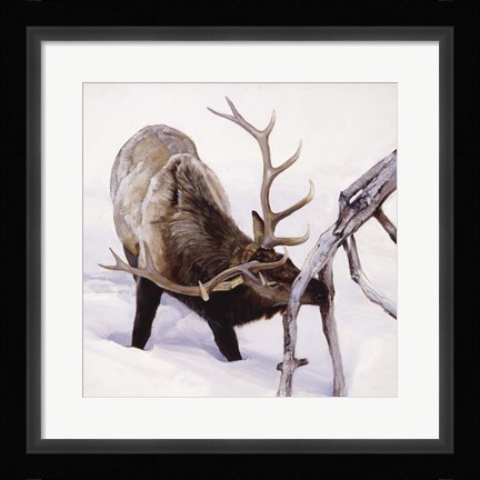 Framed Slim Pickings Print