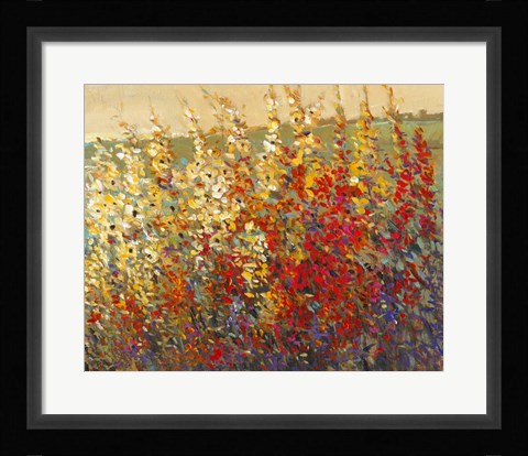 Framed Field of Spring Flowers I Print