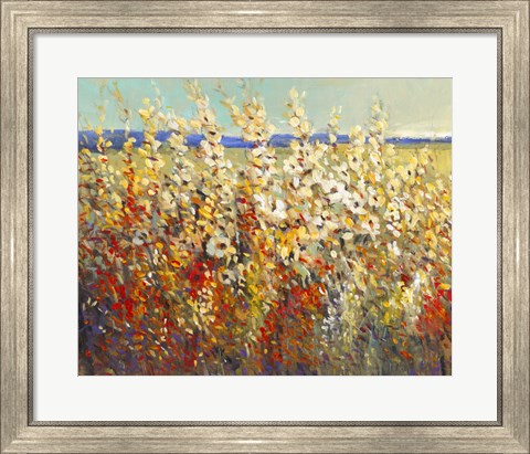 Framed Field of Spring Flowers II Print