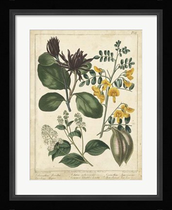 Framed Non-Embellish Enchanted Garden I Print