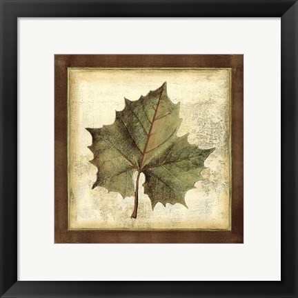Framed Rustic Leaves I - No Crackle Print