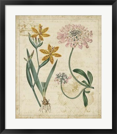 Framed Botanical Repertoire I Print