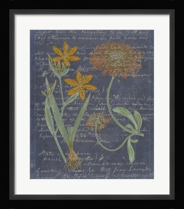 Framed Midnight Sonnet I Print