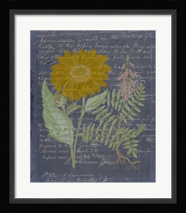 Framed Midnight Sonnet III Print