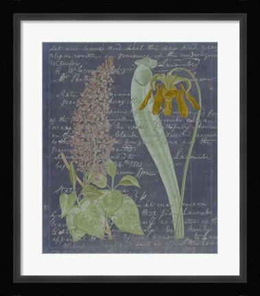 Framed Midnight Sonnet IV Print