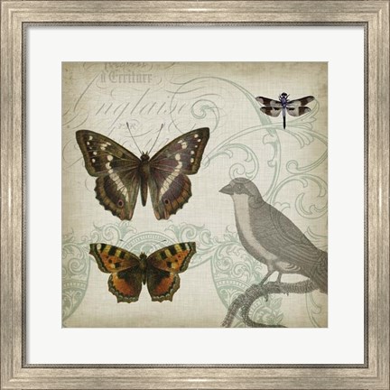 Framed Cartouche &amp; Wings III Print