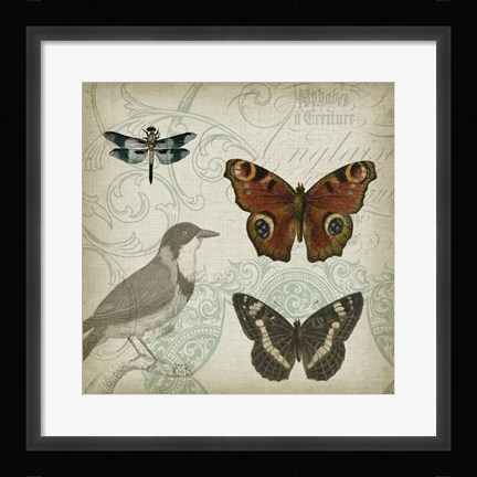 Framed Cartouche &amp; Wings IV Print