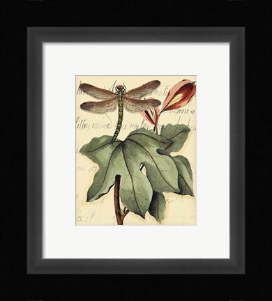 Framed Petite Dragonflies II Print