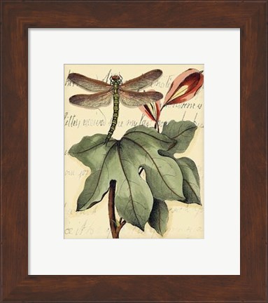 Framed Petite Dragonflies II Print
