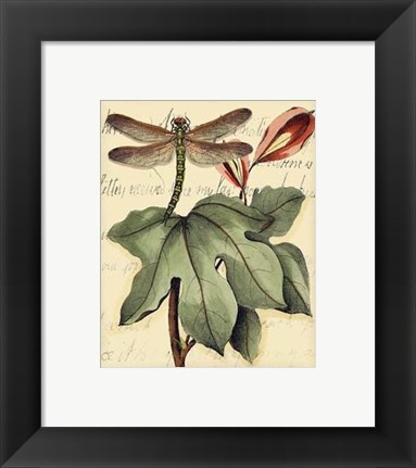 Framed Petite Dragonflies II Print
