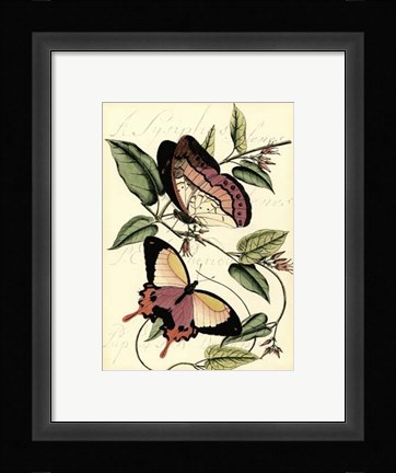 Framed Petite Butterflies I Print