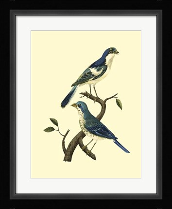 Framed Vintage Bird Pair I Print