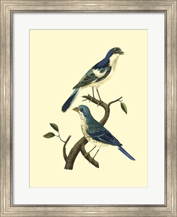 Framed Vintage Bird Pair I Print
