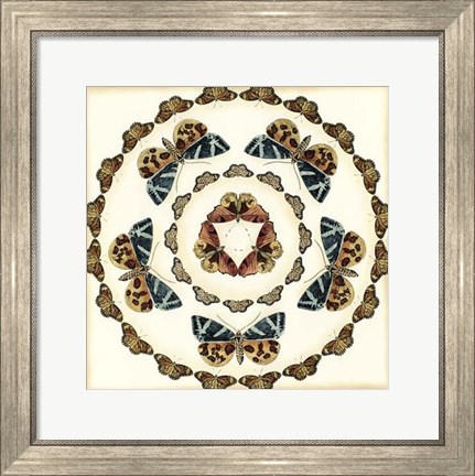 Framed Butterfly Collector III Print