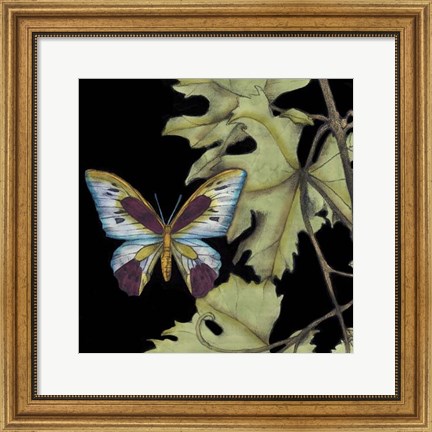 Framed Butterfly on Vine I Print