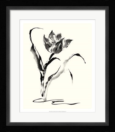 Framed Studies in Ink - Tulip Print