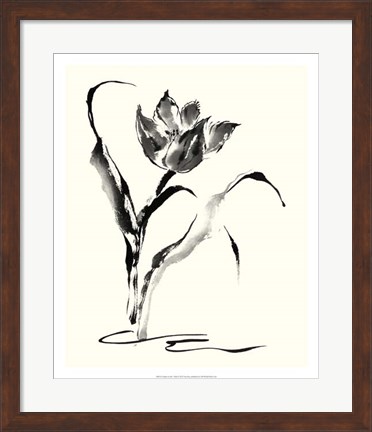 Framed Studies in Ink - Tulip Print