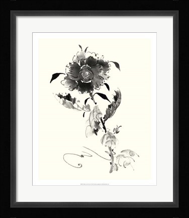 Framed Studies in Ink - Rose I Print