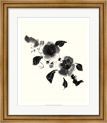 Framed Studies in Ink - Camellia Print