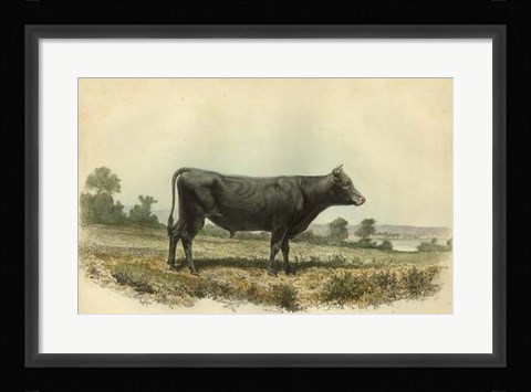 Framed Taureau D'Angeln Print